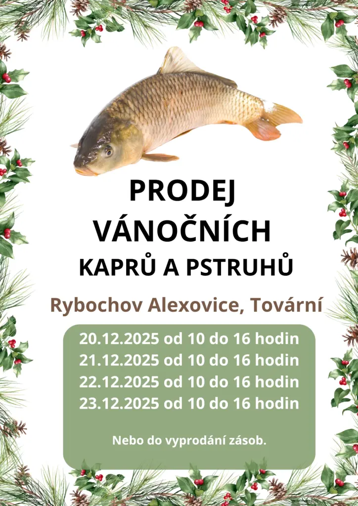 Prodej kaprů a&nbsp;pstruhů na&nbsp;Vánoce